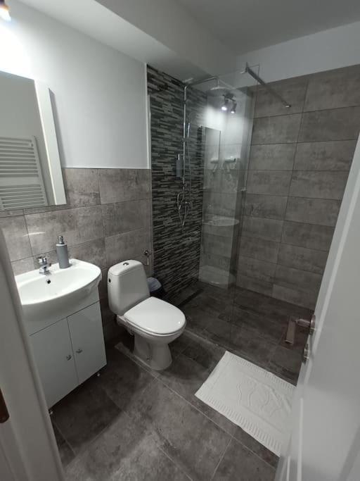 Old Town Studio 1 Apartment Nr 1 Baia Mare Bagian luar foto