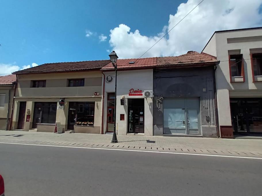 Old Town Studio 1 Apartment Nr 1 Baia Mare Bagian luar foto