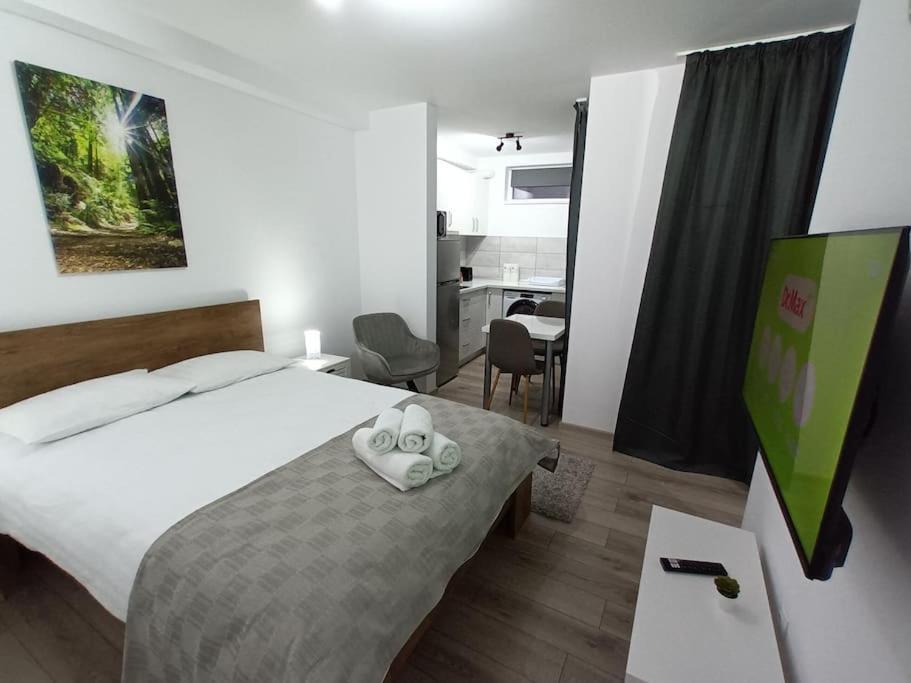 Old Town Studio 1 Apartment Nr 1 Baia Mare Bagian luar foto